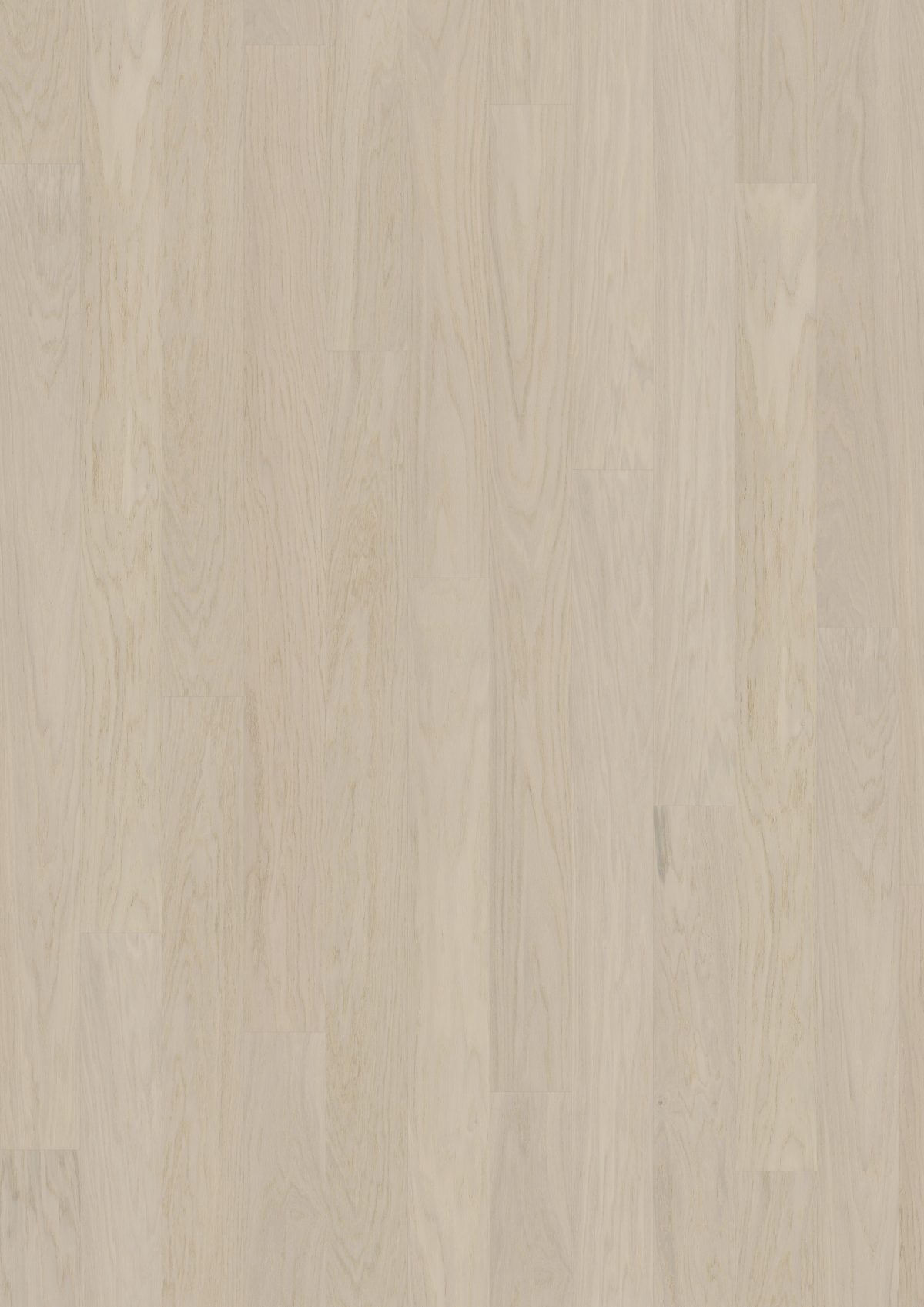 Close up of Kahrs Coconut Cream Wide Prefinished Hardwood.