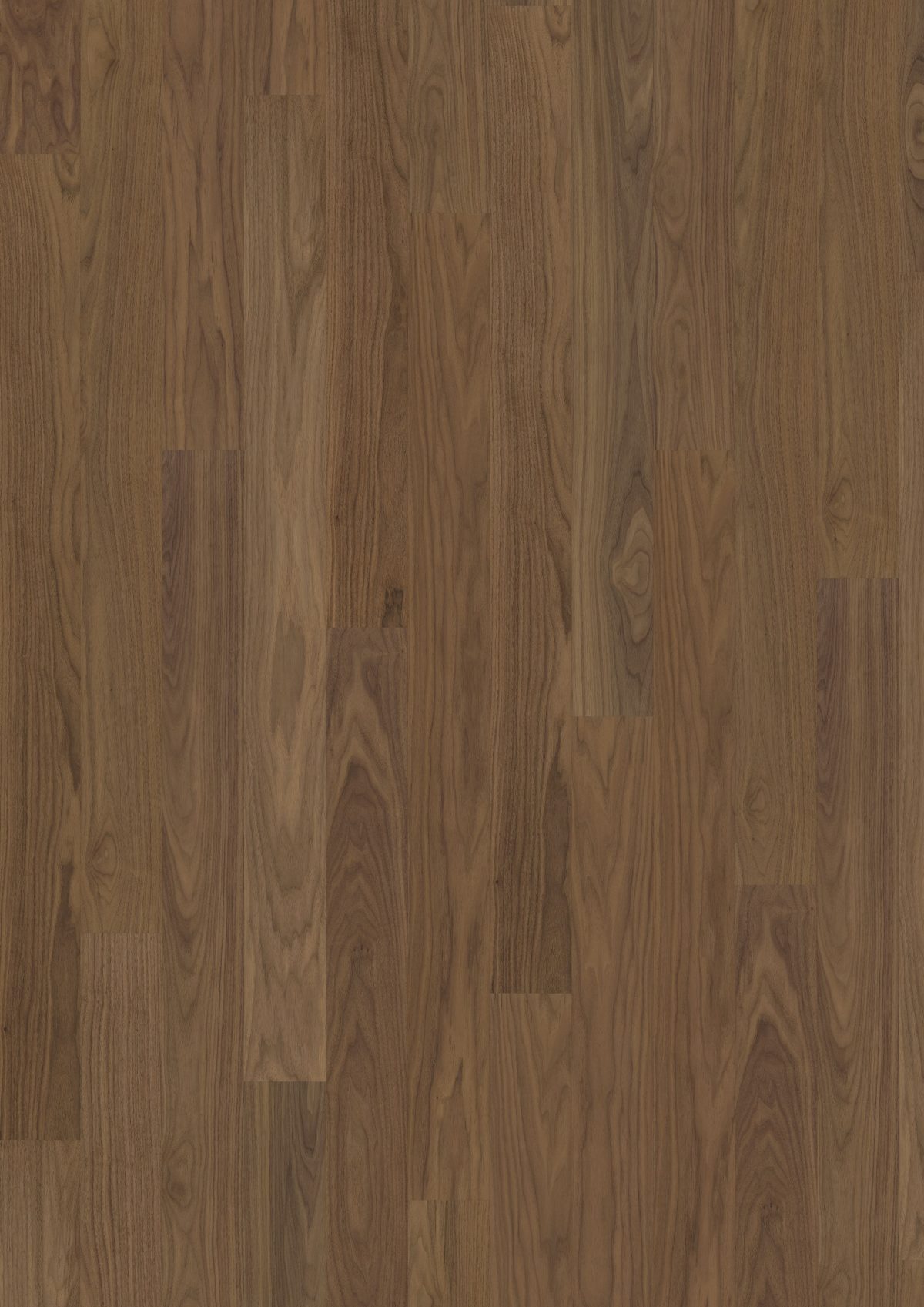 Close up of Kahrs Pure Walnut Wide Prefinished Hardwood.